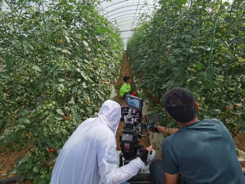 余江县产品宣传视频拍摄公司进阶指南，助力品牌抢占传播高地